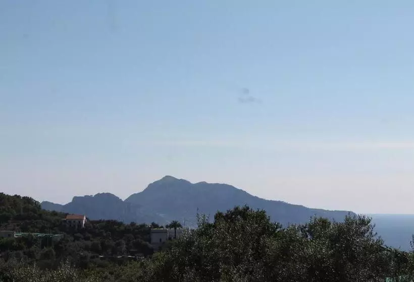 Aamiaismajoitus (B&B) Sunset House