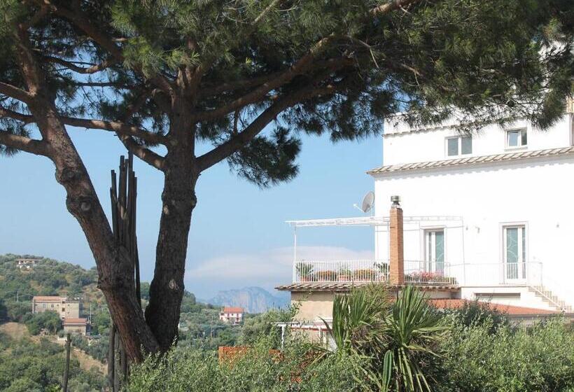 مبيت وإفطار Sunset House