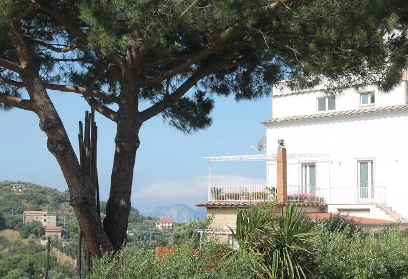 Aamiaismajoitus (B&B) Sunset House