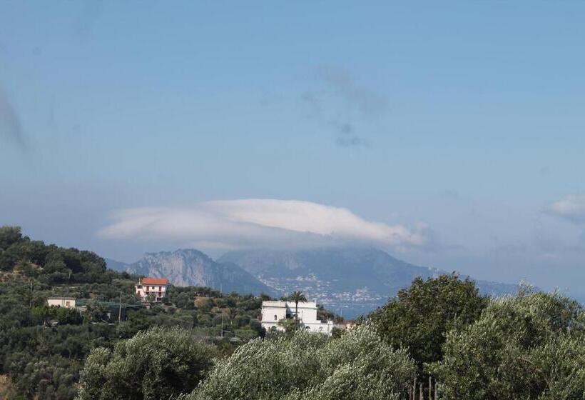 مبيت وإفطار Sunset House