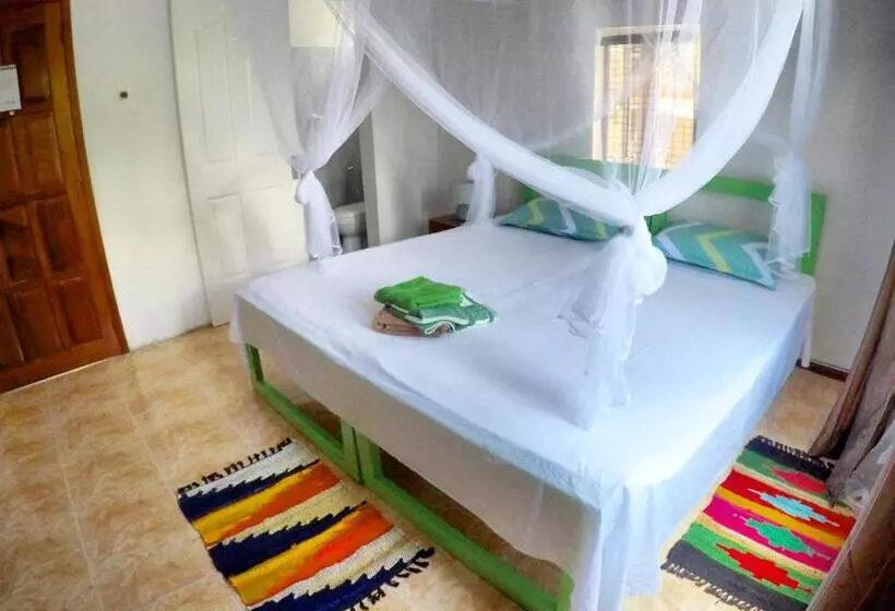 پانسیون Surf House