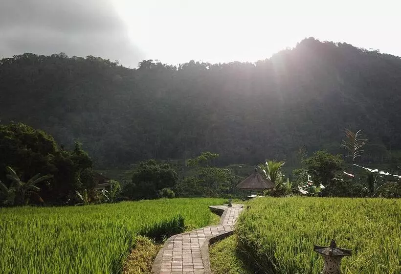 ペンション Embang Homestay