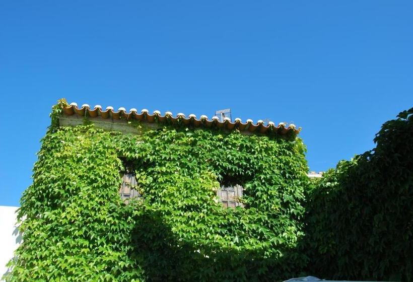 پانسیون Rio Natural