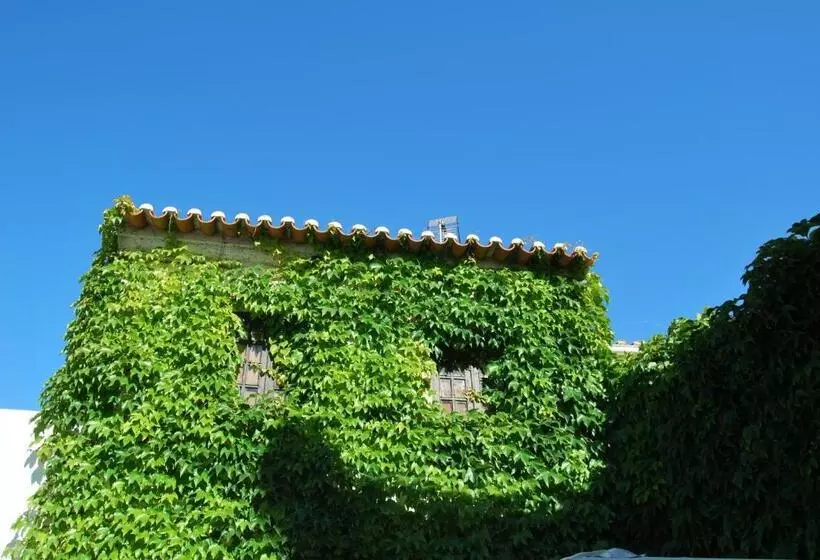 پانسیون Rio Natural