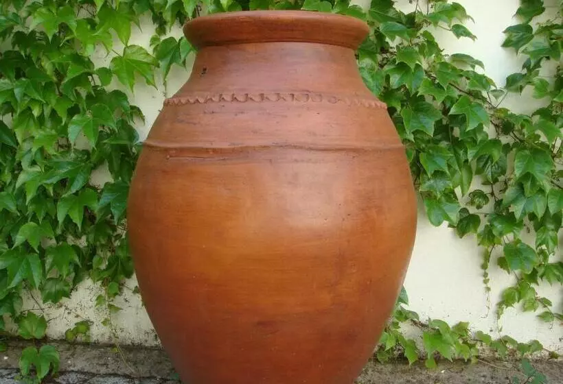 پانسیون Rio Natural