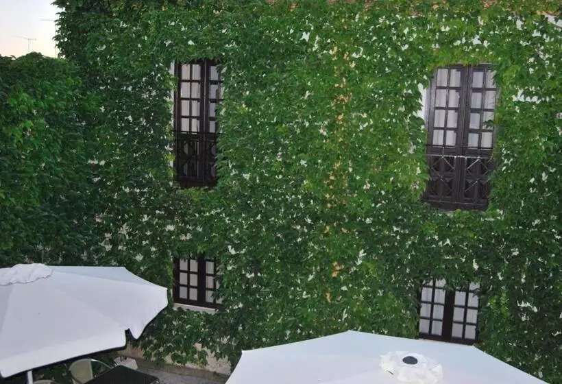 پانسیون Rio Natural