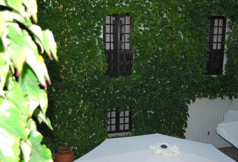 پانسیون Rio Natural