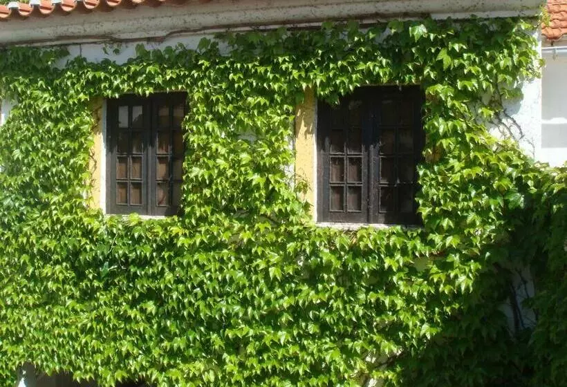 پانسیون Rio Natural