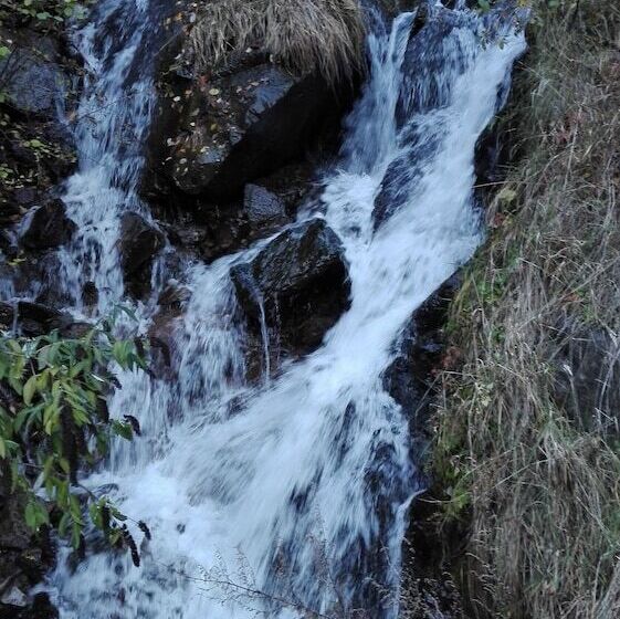 בית מלון כפרי Albergo Meuble Stelvio