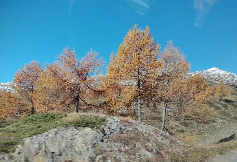 Отель Albergo Meuble Stelvio