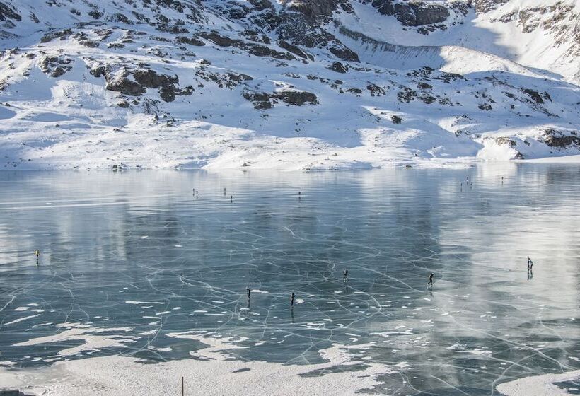 בית מלון כפרי Albergo Meuble Stelvio