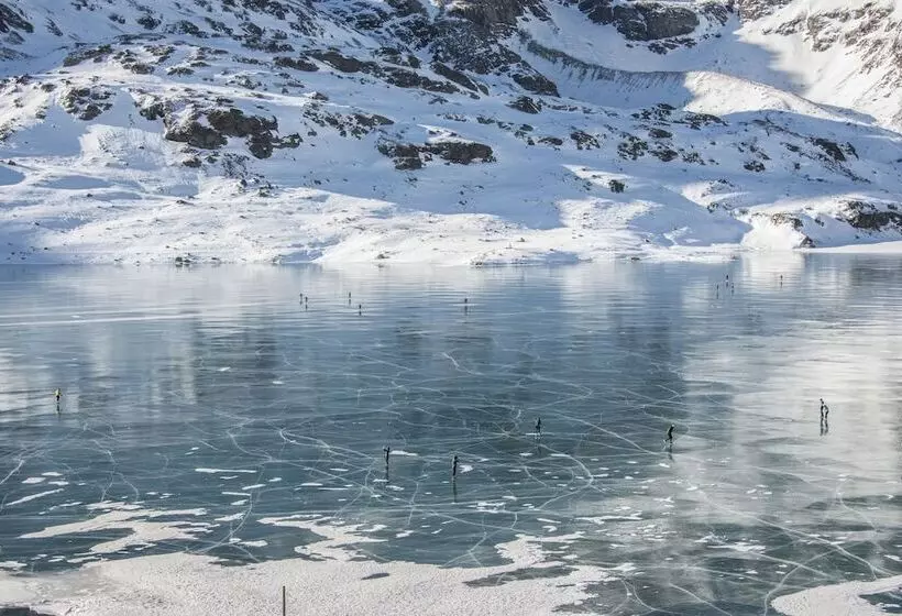 Отель Albergo Meuble Stelvio