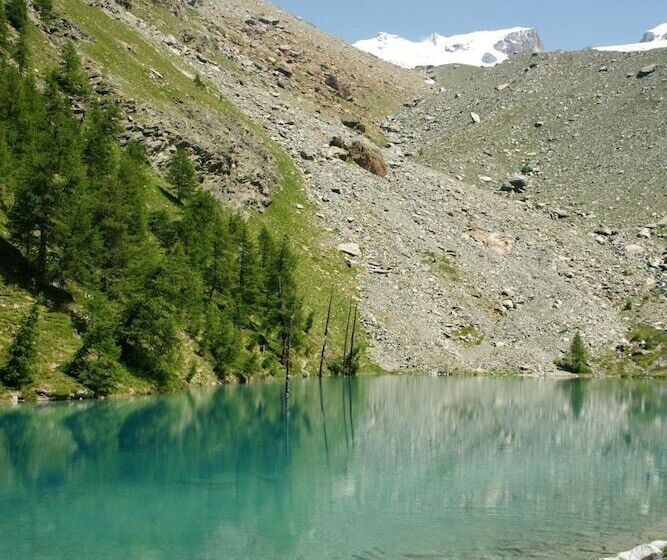 فندق Le Petit Abri