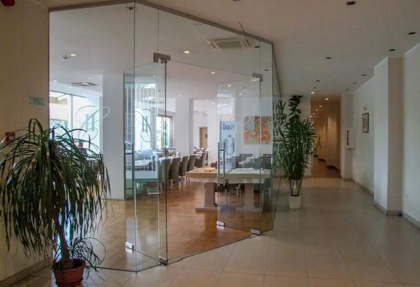 هتل Satu Mare City