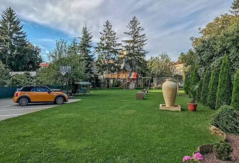 هتل Satu Mare City