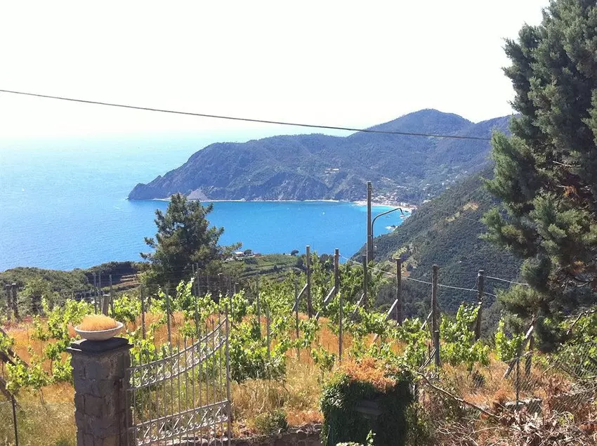 Villa Cinque Terre