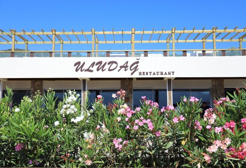 Trendlife Hotels Torba