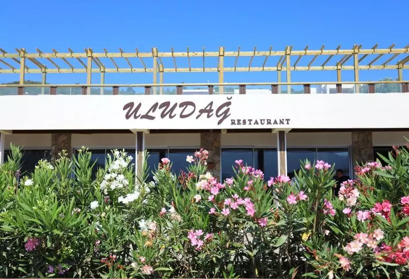 Trendlife Hotels Torba