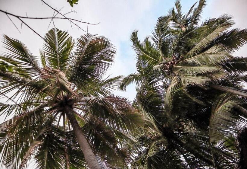 هتل Haven Beach Hiriketiya, Serenevilla Properties