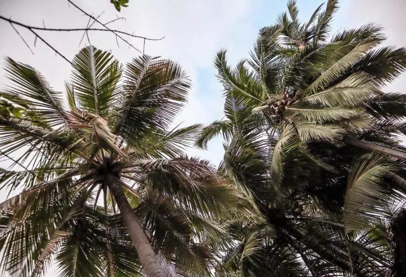 هتل Haven Beach Hiriketiya, Serenevilla Properties