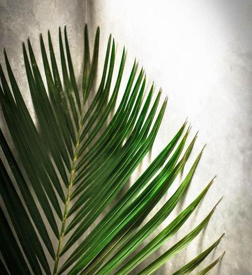 هتل Haven Beach Hiriketiya, Serenevilla Properties