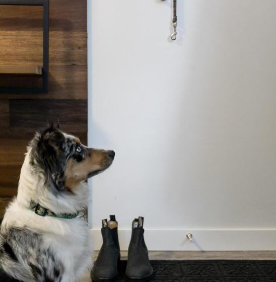 호텔 Tiny Homes By Snow Valley Lodging