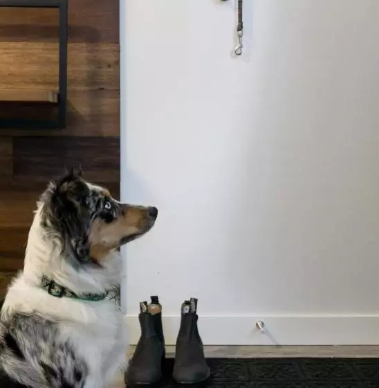 ホテル Tiny Homes By Snow Valley Lodging