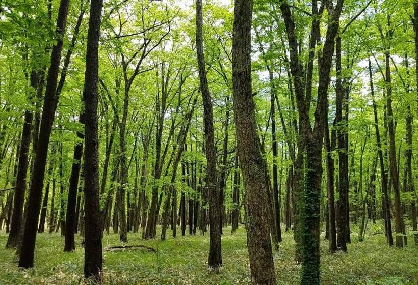 Pensão Okunikko Guesthouse Jun