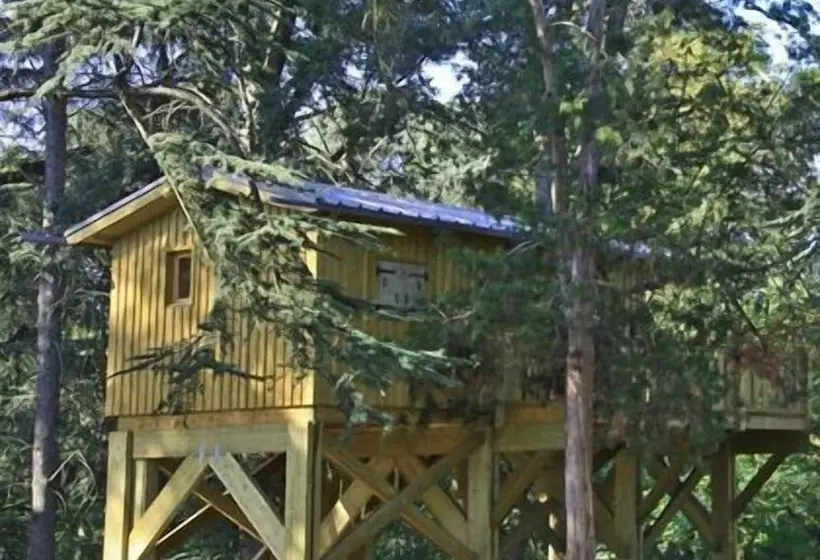 Albirondack Park Camping Lodge And Spa