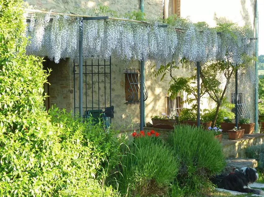 Agriturismo Apparita