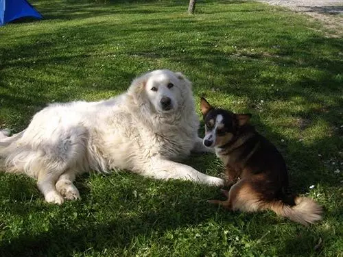 Agriturismo Apparita