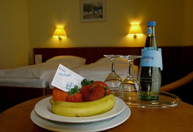 בית מלון כפרי Blankenfeld