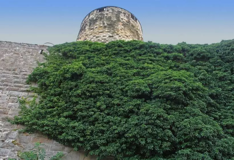 Отель Burg Colmberg