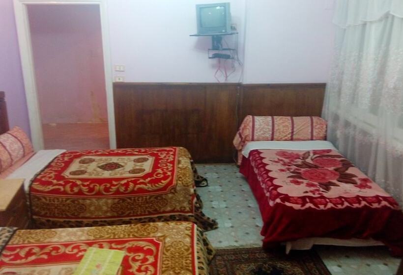 هتل Cairo Moon Hostel