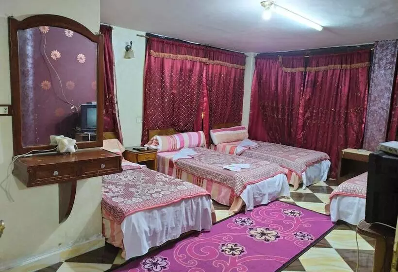 هتل Cairo Moon Hostel