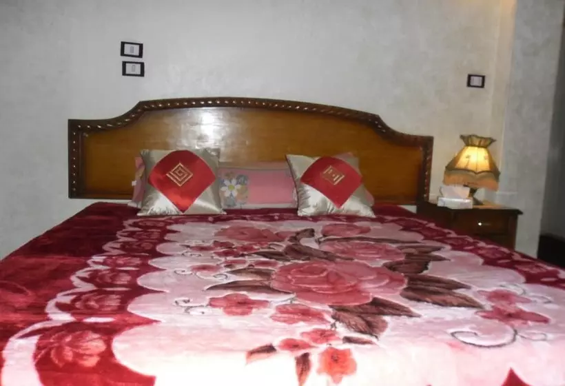 هتل Cairo Moon Hostel