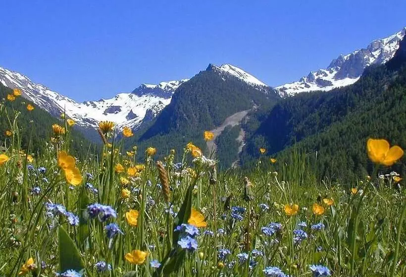 هتل Chalet Hôtel Les Cimes