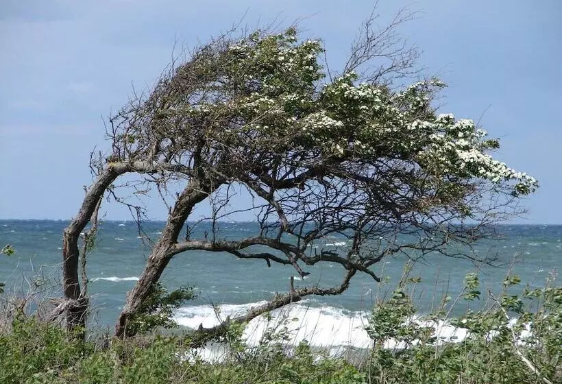 בית מלון כפרי Doberaner Hof