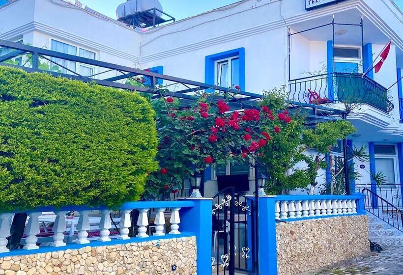 בית מלון כפרי Nese