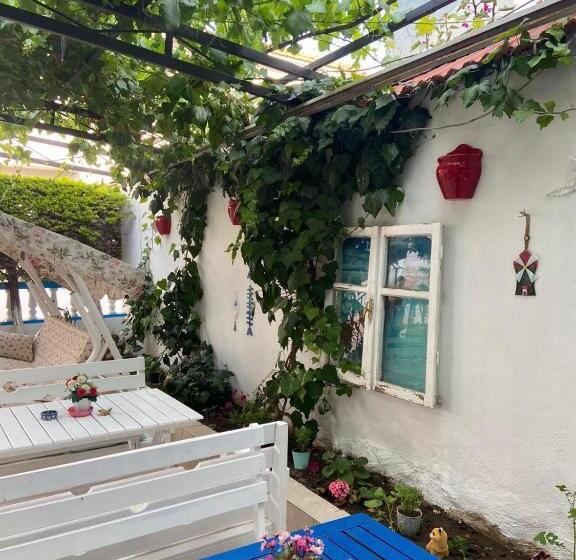 בית מלון כפרי Nese