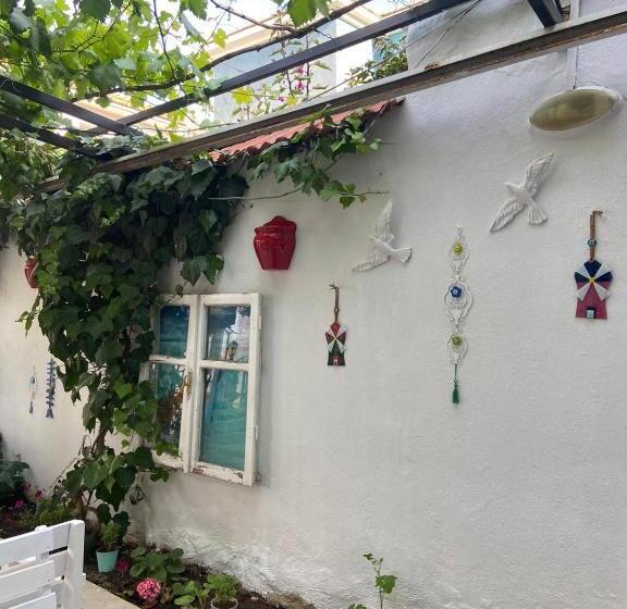 בית מלון כפרי Nese