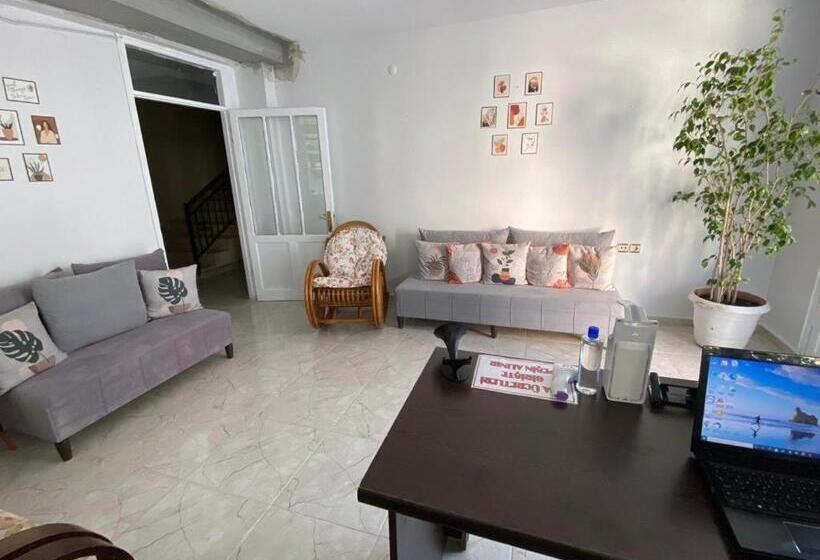 בית מלון כפרי Nese