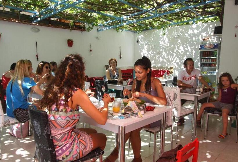 בית מלון כפרי Nese