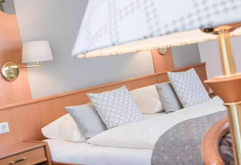 Logis Hotel Restaurant Dimmer