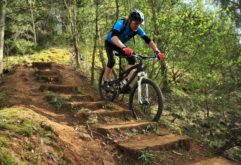 Logis Hotel Restaurant Dimmer