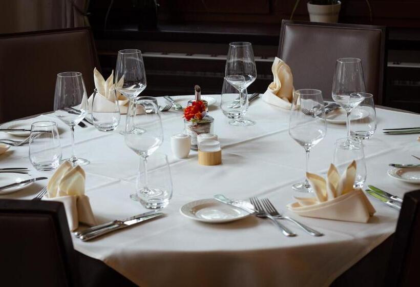 Logis Hotel Restaurant Dimmer