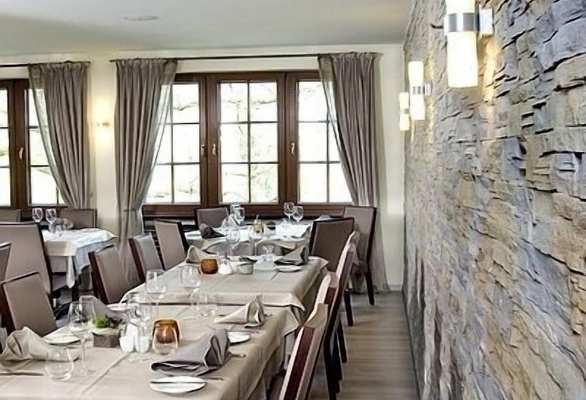 Logis Hotel Restaurant Dimmer