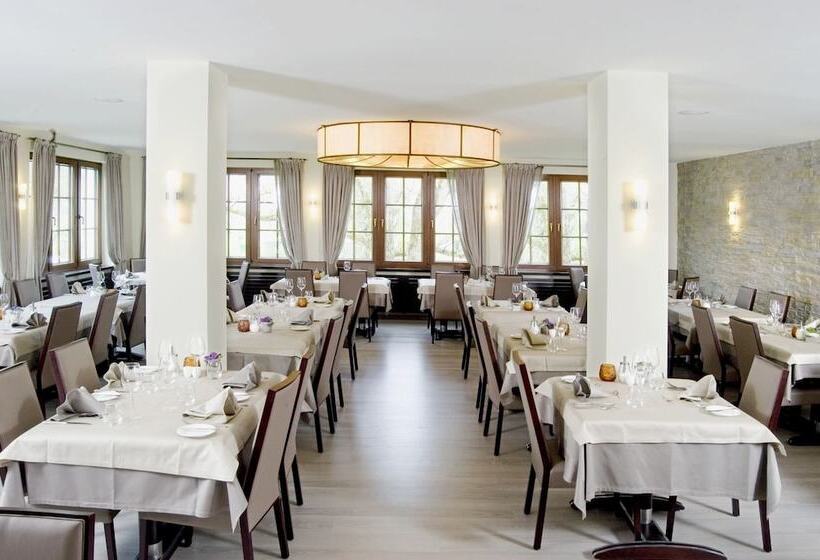 Logis Hotel Restaurant Dimmer