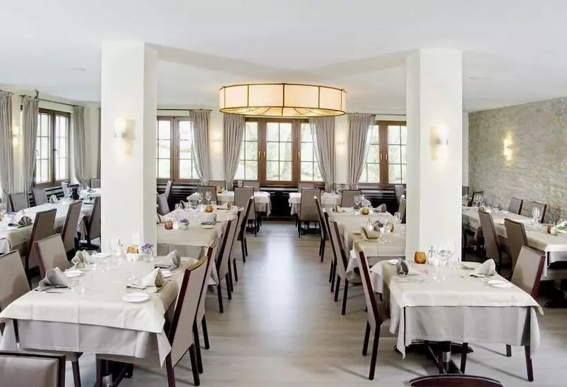 Logis Hotel Restaurant Dimmer