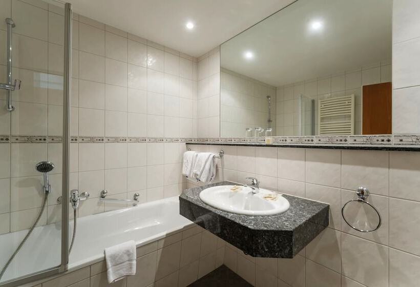 Logis Hotel Restaurant Dimmer